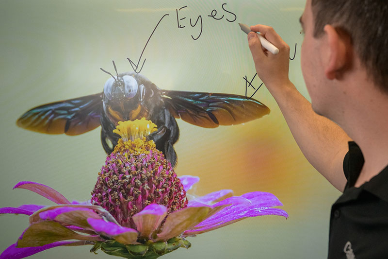 Interactive Whiteboard