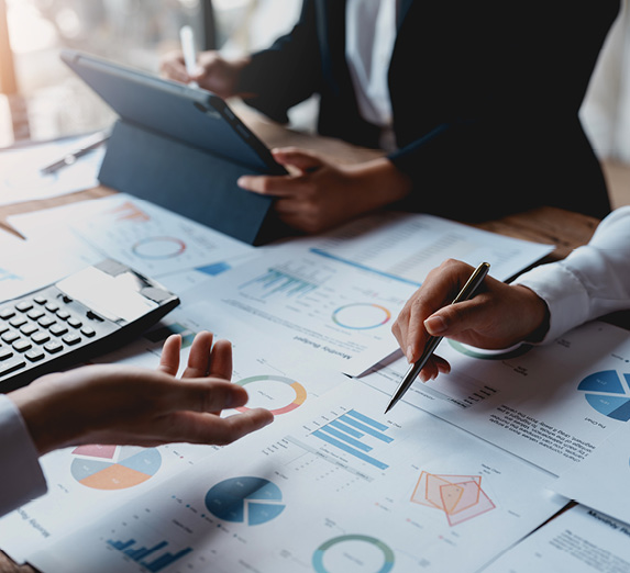 Professional Services